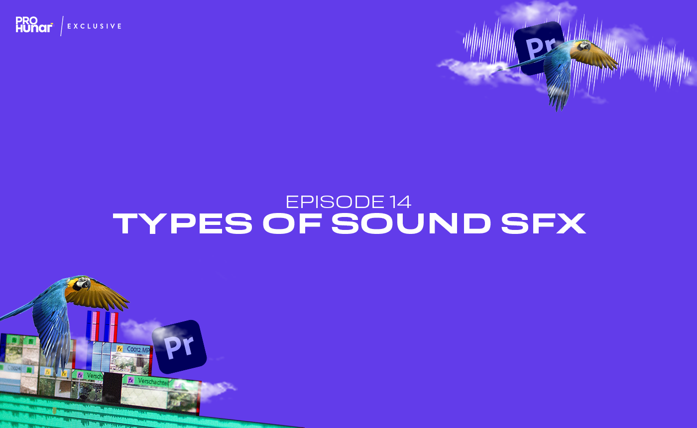 types-of-sound-sfx-prohunar-com